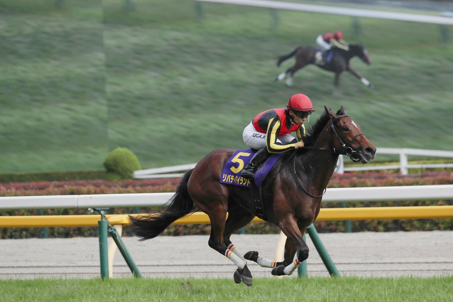 異次元の強さで2冠達成のリバティアイランド。安城は川田将雅騎手　©JIJI PRESS