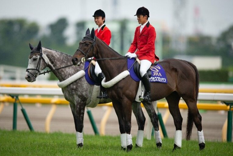 18着に負けたダービーの誘導馬に。サクセスブロッケンが遂に叶えた夢。(3)