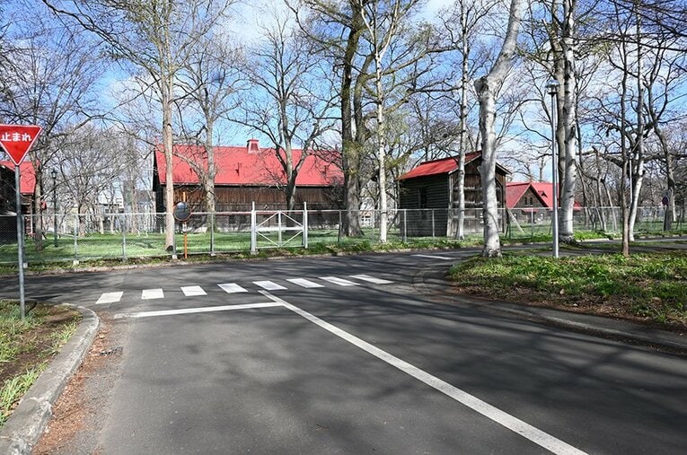 コース北大に入ってすぐのジグザグ道の一部。第二農場に突き当たり、ここを右折する ／ photograph by Yumiko Yanai