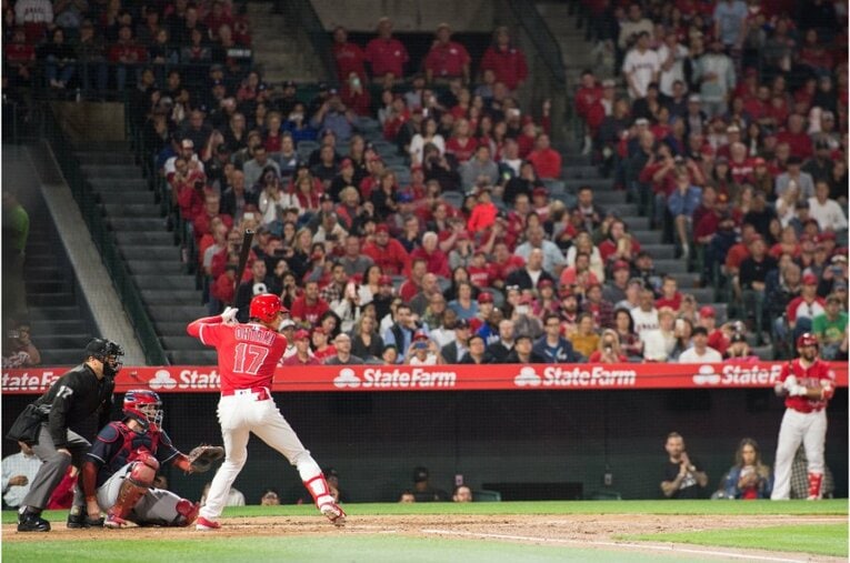 2018年©Nanae Suzuki