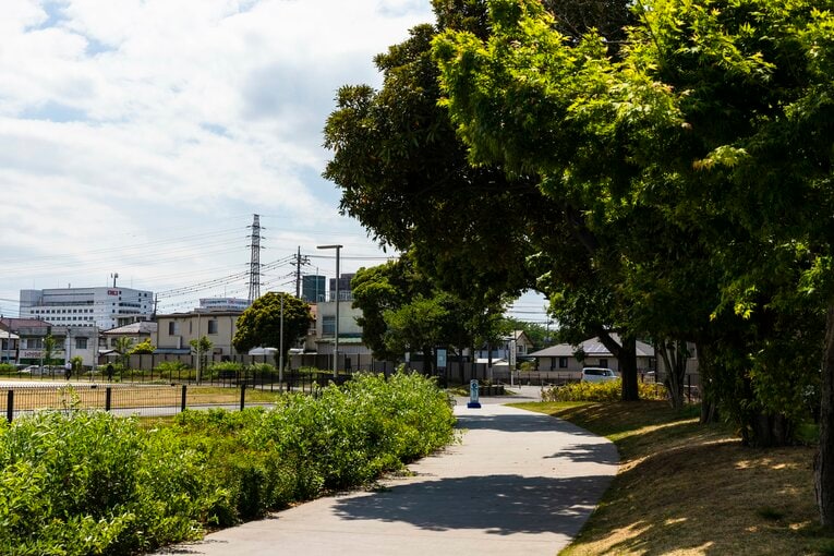 遊歩道が左にゆったりとカーブしていく