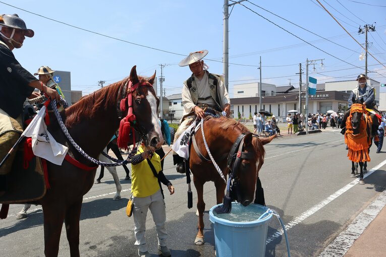 宵乗り行列の道中で水分補給をする馬たち
