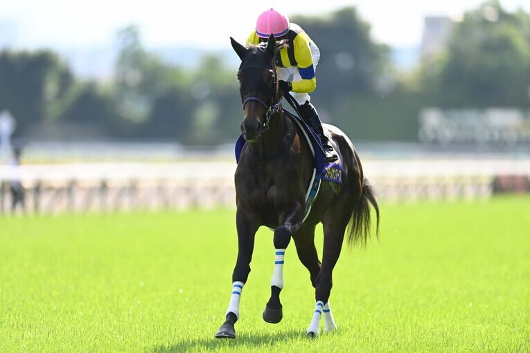 オークス直前に顔面を蹴られて放馬…発走“15分の大遅延”はなぜ起きたのか？「多くの馬の戦いは、スタート前に終わってしまった」(12)