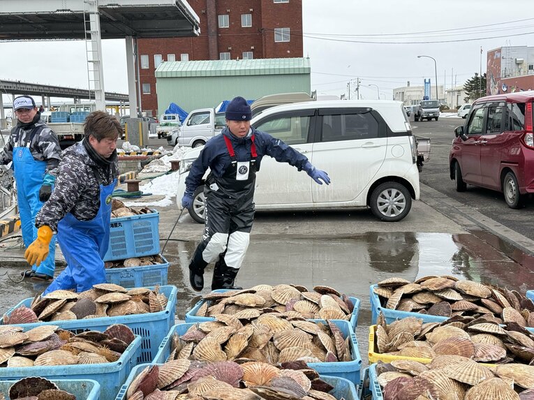 【1年後】「ホタテ漁師」を目指す甲子園出場時の主将・中道さん ©Yuji Yanagawa