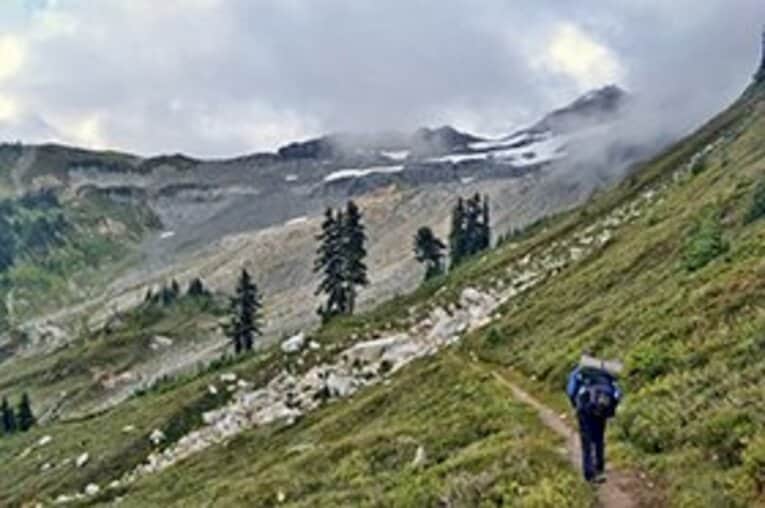 相棒の背中を追ってトレイルをいく。 