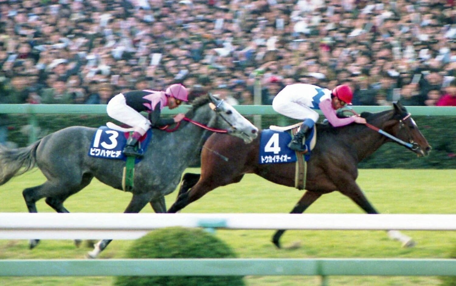 '93年の有馬記念で、田原成貴騎手が駆る4番人気トウカイテイオー（右）が、1番人気のビワハヤヒデを差し切って勝利　©SANKEI SHIMBUN