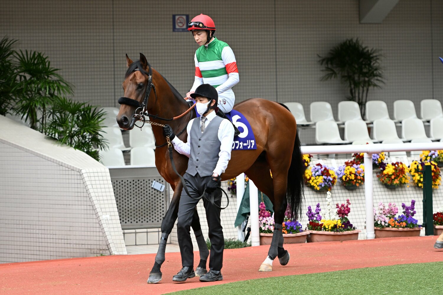 まさかの9着に沈んだエフフォーリア。横山武史はレース前から違和感を感じていたという　©Keiji Ishikawa