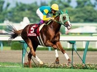 希少♦️武豊メジロマックイーン引退式パネル