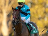 希少♦️武豊メジロマックイーン引退式パネル 希少♦️武豊メジロマックイーン引退式パネル