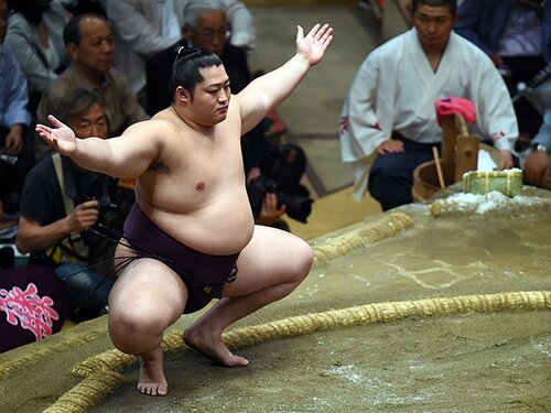 相撲 遠藤関 反物 甚平 相撲 遠藤関 反物 甚平