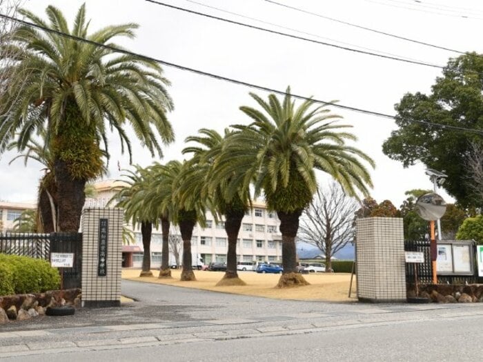 甲子園出場に大金が…“ドタバタ寄付金集め”ウラ側「高知農業の卒業生に手紙を」校長明かす「応援グッズで1000万円」「テレビ映るので…」現場の声＜Number Web＞ photograph by Kota Inoue