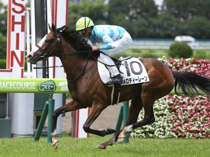 馬体重350kgの“超小柄なアイドル”メロディーレーンが有馬記念へ！ 菊花賞馬タイトルホルダーと「夢の姉弟対決」なるか＜Number Web＞ photograph by AFLO