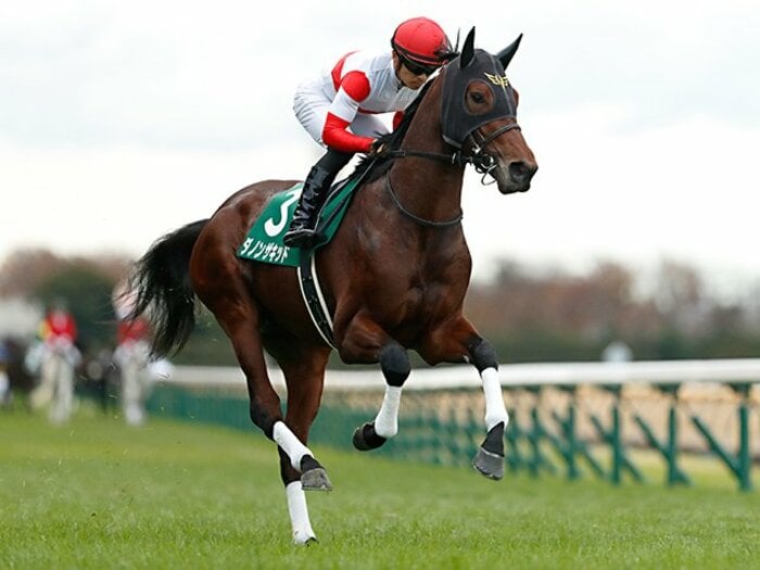 ホープフルステークスは大混戦！ コントレイルと同じ道を歩む「幼い」牡馬か、ルメール騎乗の良血か＜Number Web＞ photograph by Photostud