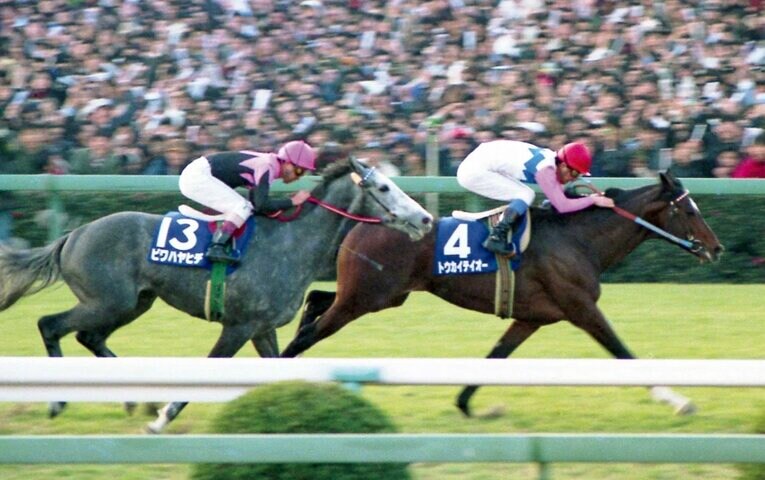 '93年の有馬記念で、田原成貴騎手が駆る4番人気トウカイテイオー（右）が、1番人気のビワハヤヒデを差し切って勝利　©SANKEI SHIMBUN