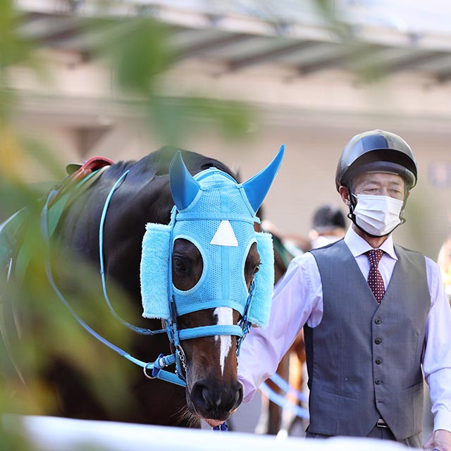 【中山GJ】“気持ちが途切れた”オジュウチョウサンは6連覇で復権なるか 「仕上がりに関しては言うことはない」