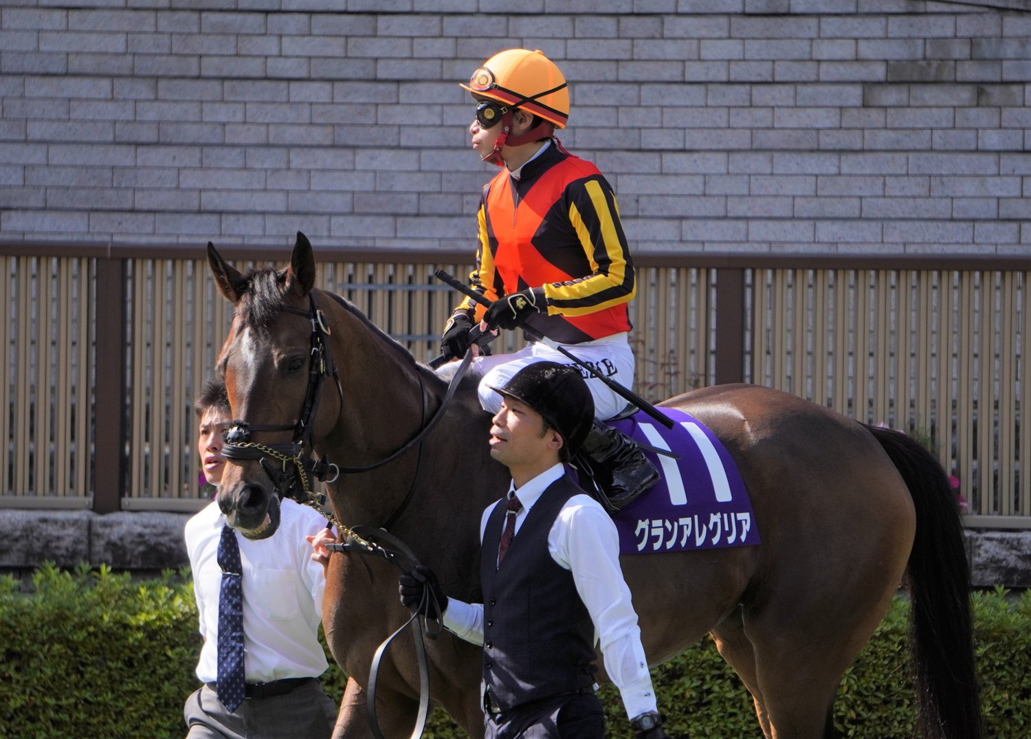 安田記念で3番人気となったグランアレグリア