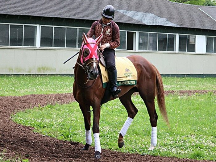 日本で6戦2勝→米3冠レース有力馬。マスターフェンサーの状態が急上昇。＜Number Web＞ photograph by Satoshi Hiramatsu