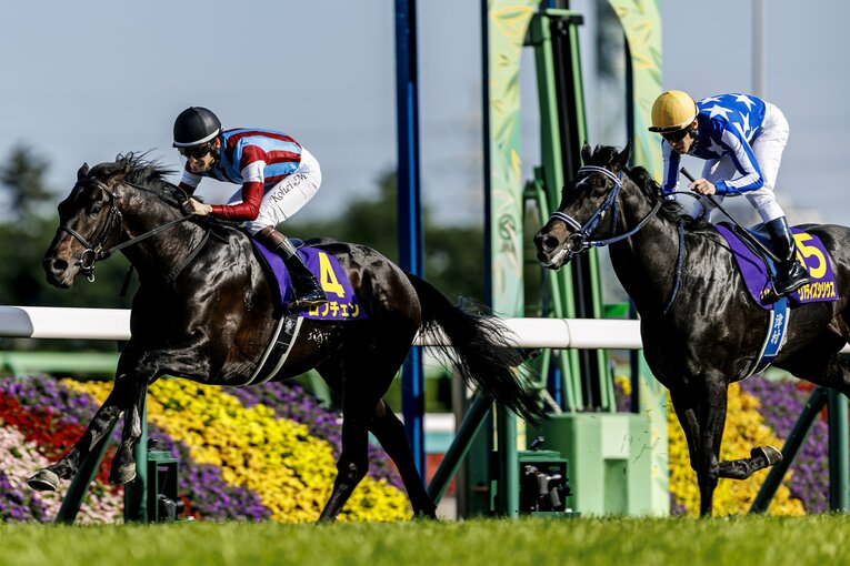 皐月賞を勝ったロブチェンと惜敗したリアライズシリウス　©Kiichi Matsumoto