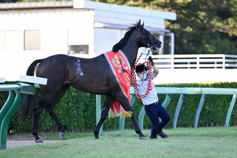 1番人気メイケイエールはなぜ不発に終わった？ 波乱のスプリンターズS、「すべての展開が味方した」ジャンダルムが生んだ“血のドラマ”(47)