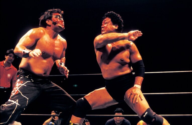 天龍チョップを受けて立つムタ