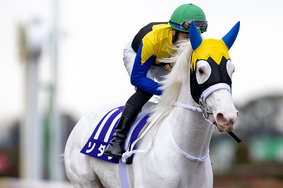 《ヴィクトリアマイル》得意のマイル&重馬場でレイパパレが圧勝? “白毛の女王”ソダシはダート経験がどう生きるか<Number Web> photograph by Photostud