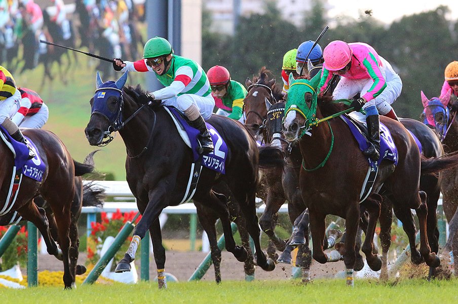 マリアライト、GI初参戦でエリ女戴冠。4歳で13戦目、この馬はまだ強くなる。<Number Web> photograph by Yuji Takahashi