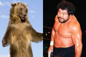 【獣】「俺は目に指を入れて…」クマと生身で対戦したマサ斎藤、藤原喜明らが味わった“恐怖体験”とは《プロレスラーvs熊》
