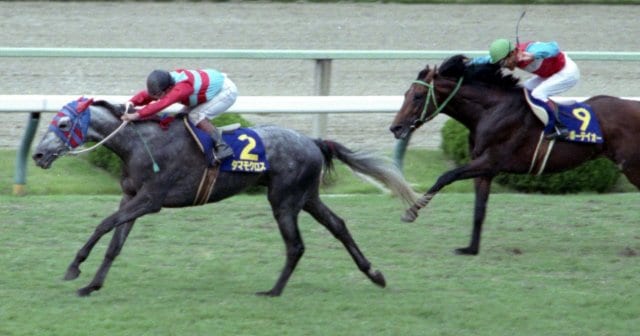 JRA 第48回宝塚記念 アドマイヤムーン オルゴール 小物入れ 非売品 貴重 JRA 第48回宝塚記念 アドマイヤムーン オルゴール 小物入れ