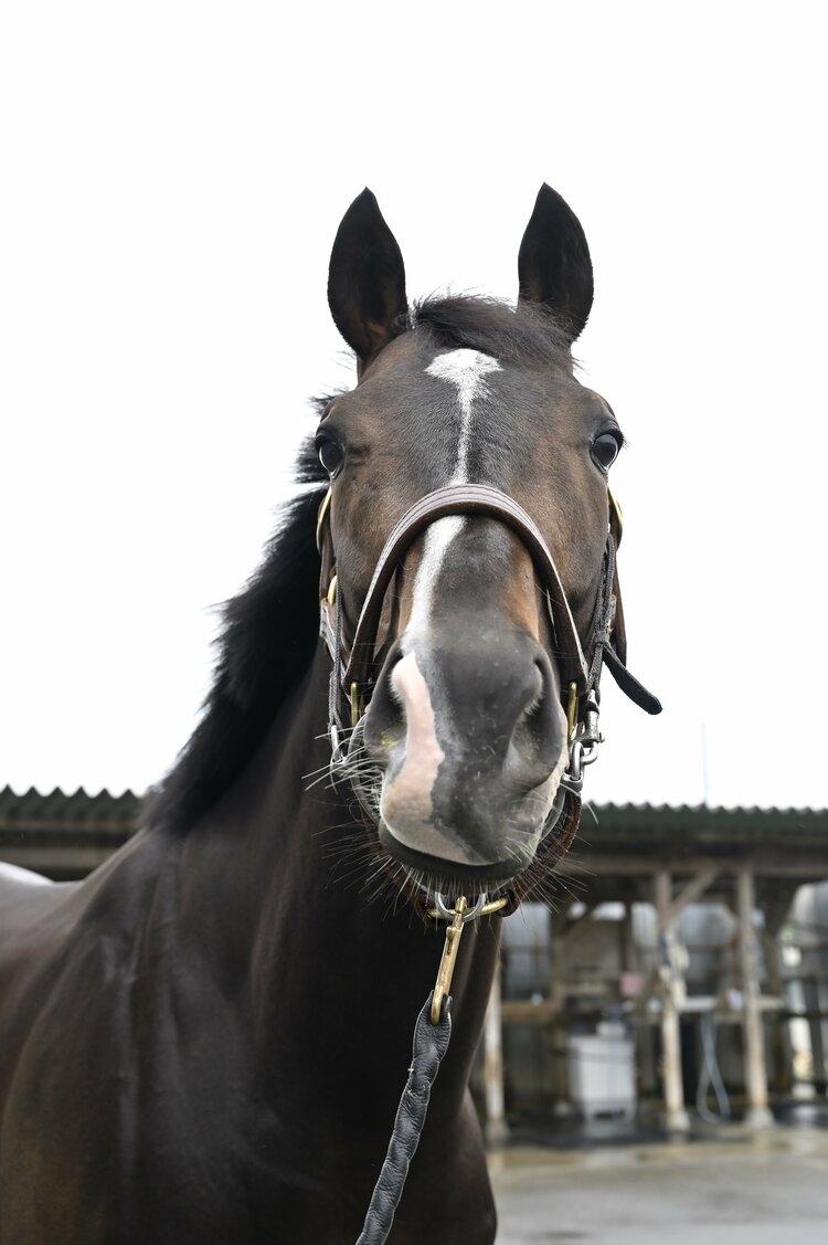 僕とタイトルホルダーは折り合えるんだ」 横山家の長男・横山和生（29