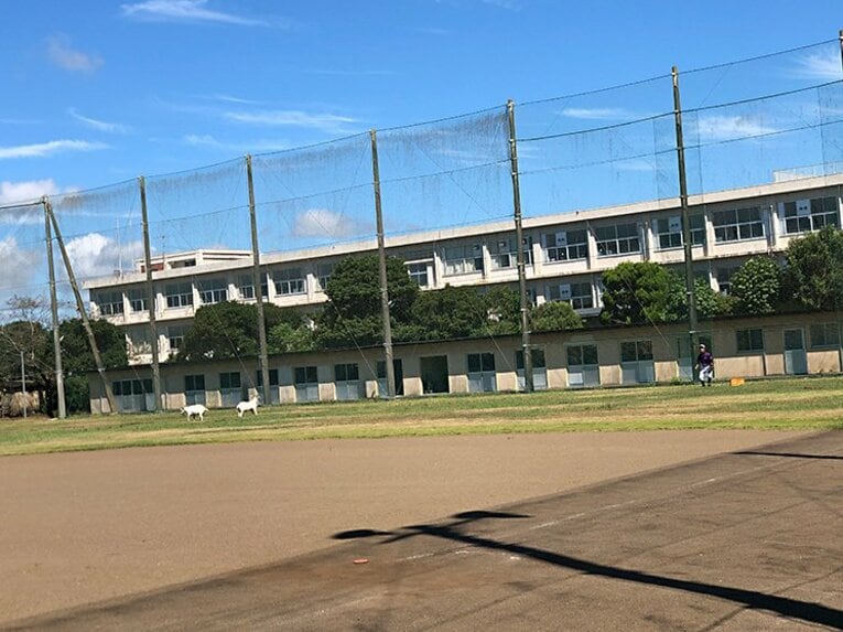 センバツ出場予定高校→ヤギ成育＆部員1人の農業校へ　磐城高・前部長の数奇な野球人生(5)