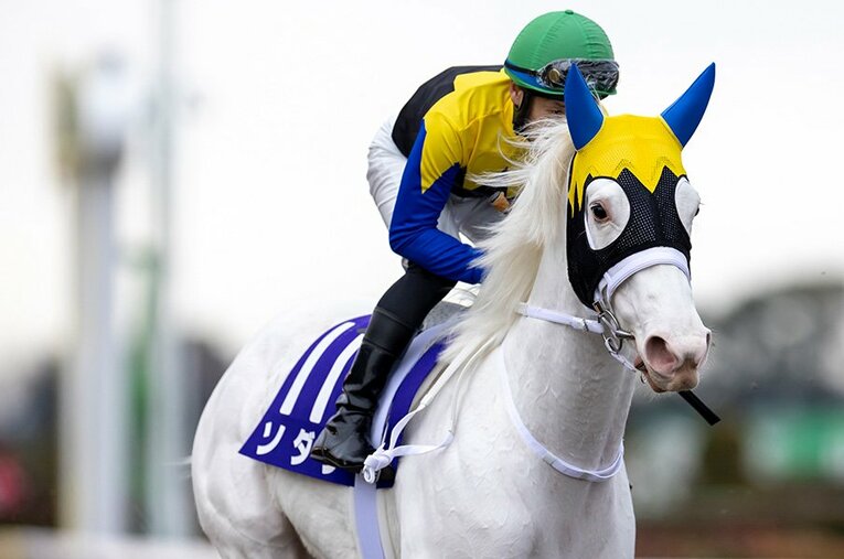 前走フェブラリーステークスでは3着に好走し、今回再び芝での挑戦となるソダシ ／ photograph by Photostud