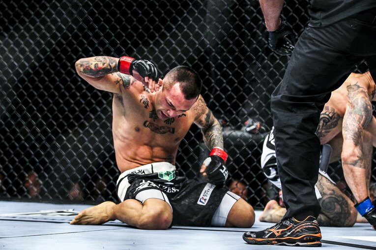 ヴァウアン・リー戦（UFC 144: Edgar vs. Henderson　2012年2月26日）