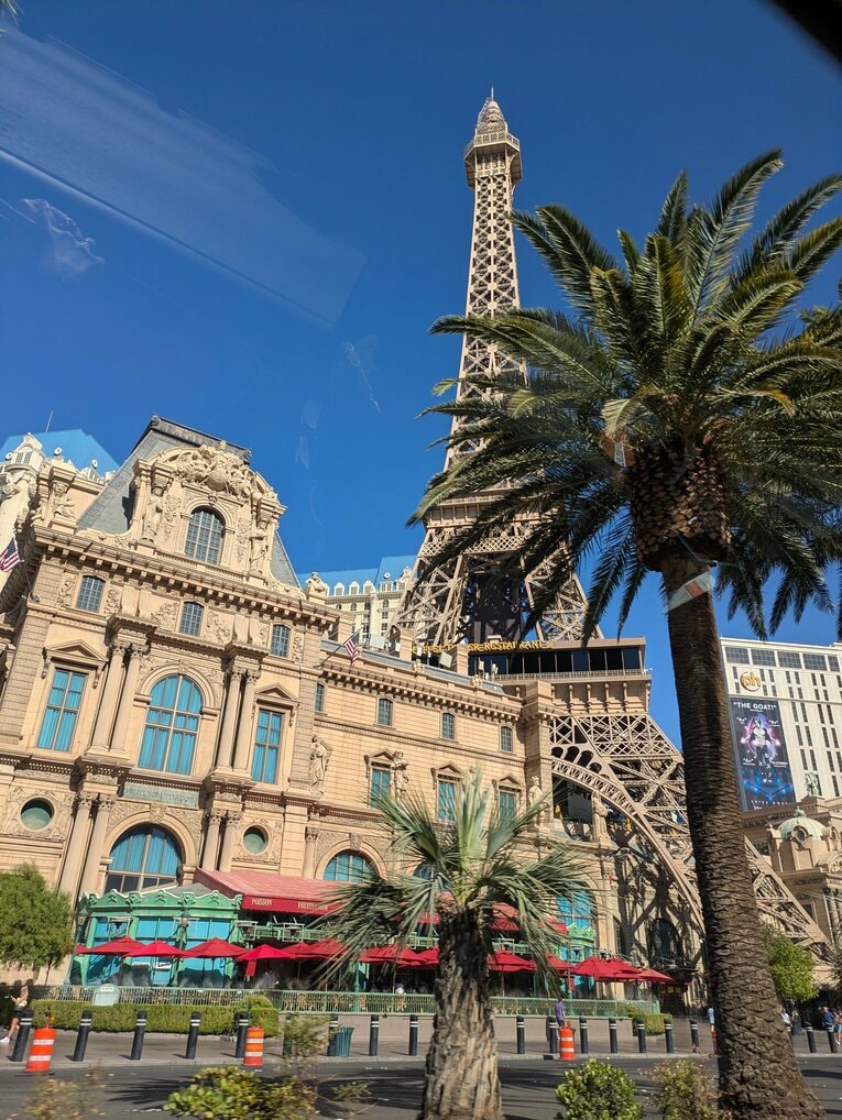 写真で見る「漫画家夫婦のアメリカ珍道中」（30枚超）©Junsei Chida