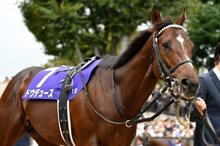 パドックでのドウデュース。10月27日、天皇賞・秋　©Keiji Ishikawa
