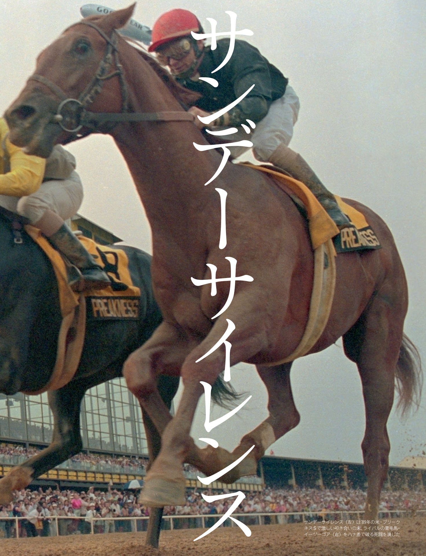 サンデーサイレンス「革命と脅威の突然変異」