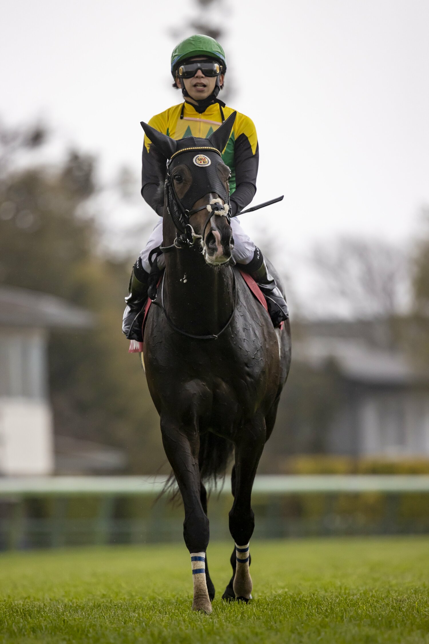 日経賞を制したタイトルホルダーと横山和生 ©Photostud