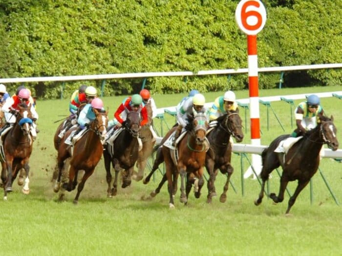 “最強のダービー2着馬”は？ 成績は58戦5勝、それでも愛されたあの馬も「最強に“幸せな”2着馬かもね」《今年はイクイノックス》＜Number Web＞ photograph by Sankei Shinbun