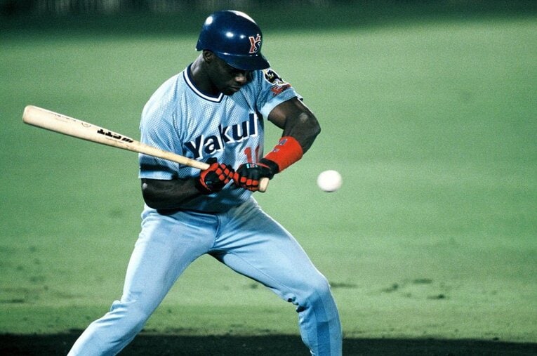 ホージ―／ヤクルト ／ photograph by Koji Asakura