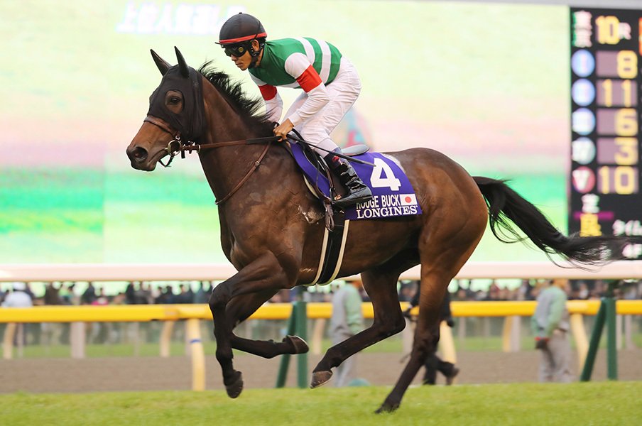 ヴィクトリアマイルはルージュに◎。元世代No.1馬と気鋭調教師のコンビ。<Number Web> photograph by Yuji Takahashi