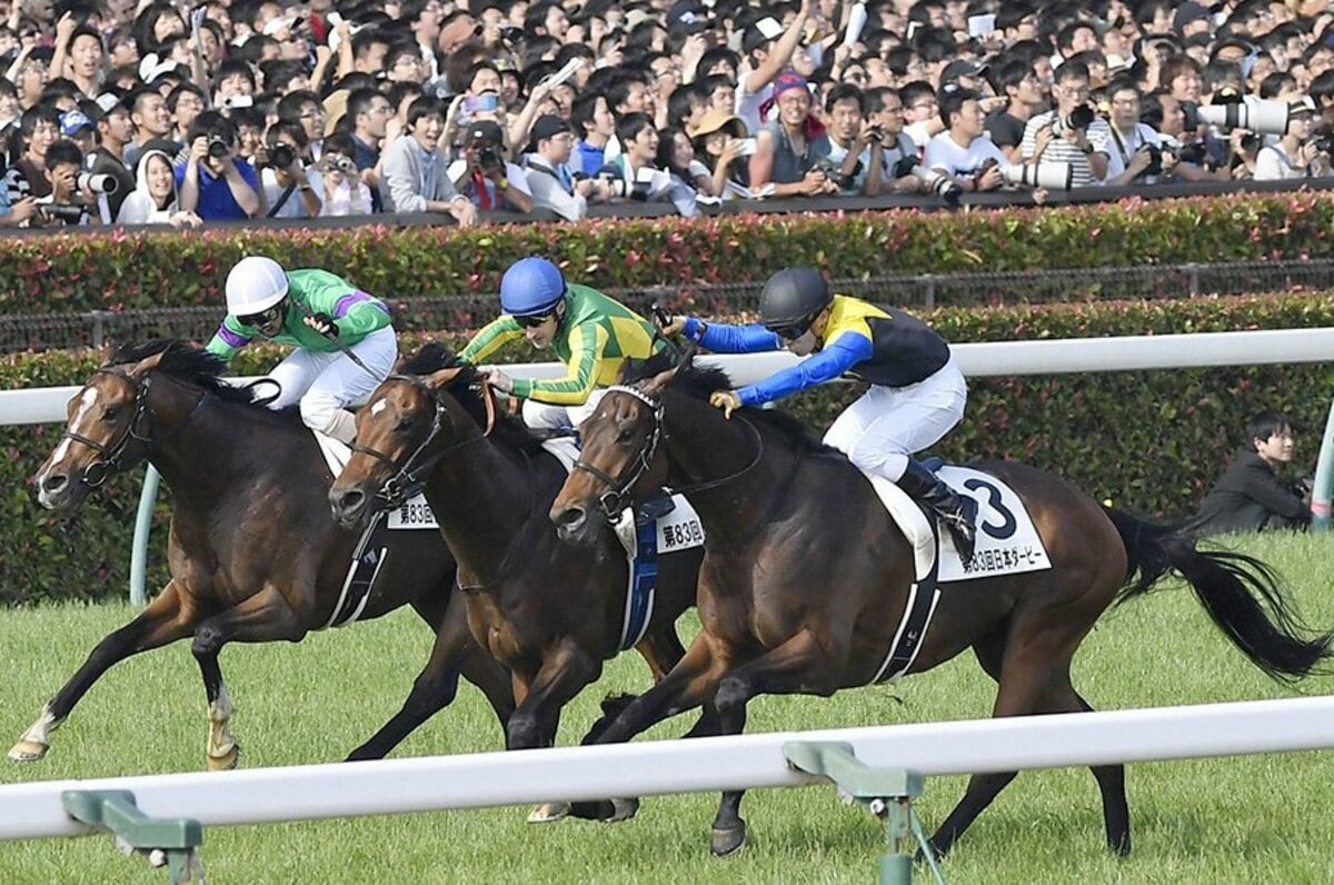 マカヒキは 強い馬ほどよく眠る ダービーの朝も眠そうな大物ぶり 競馬 Number Web ナンバー