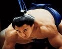 「潜ってウニやアワビを獲り…」「お腹が筋肉で硬すぎ、メスが入らず」千代の富士“鋼鉄の肉体”の秘密を追う《証言で辿る大横綱》.gsub(/