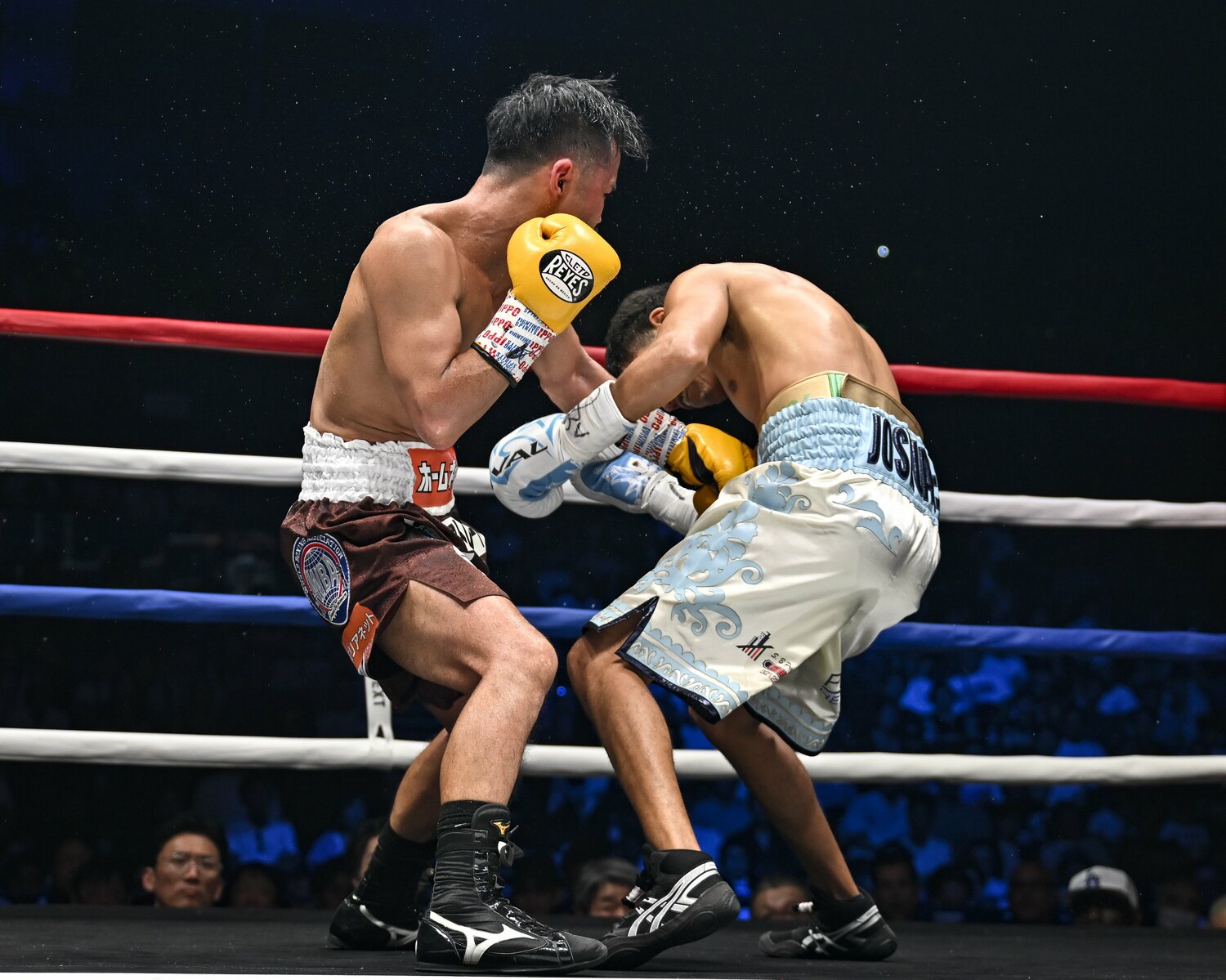 4ラウンド、比嘉大吾が左フックでダウンを奪った瞬間 ©Hiroaki Finito Yamaguchi