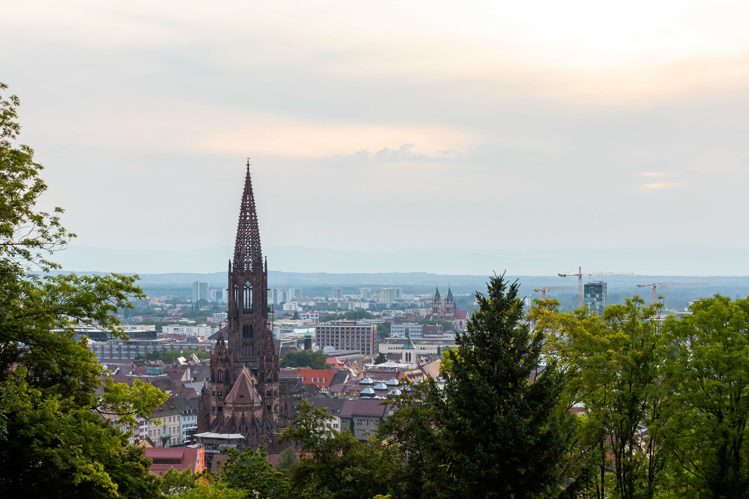フライブルクの大聖堂と街　©Getty Images
