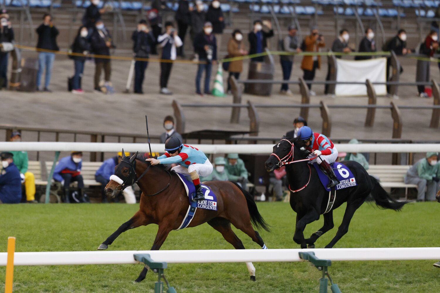 アーモンドアイ 2020 ジャパンカップ 現地 単勝馬券 - その他