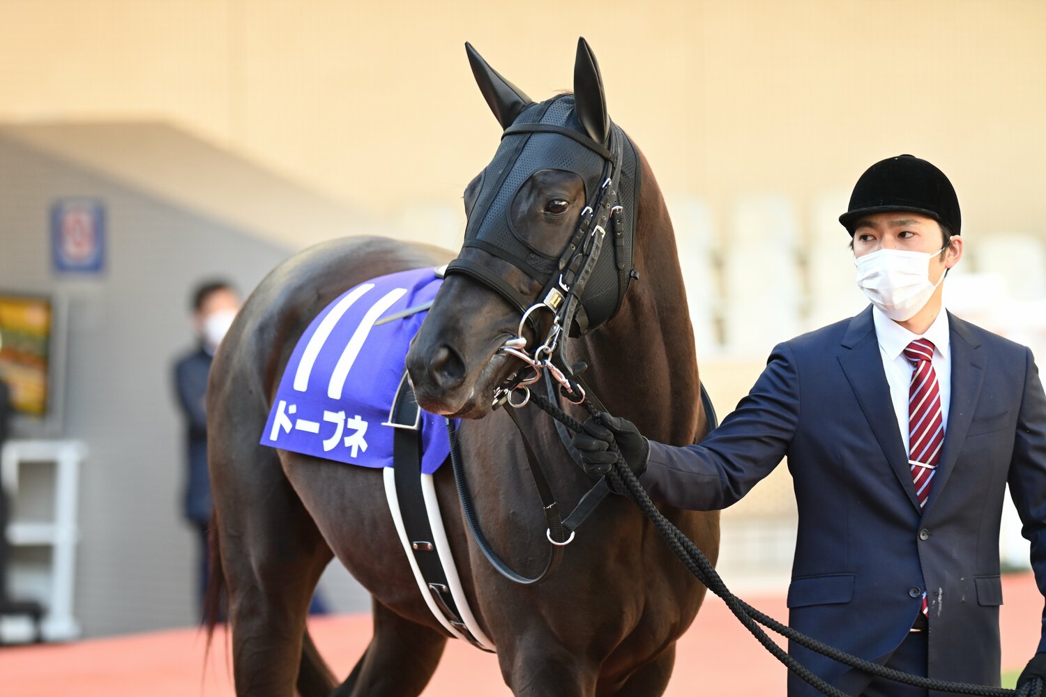 藤田晋氏が4億7010万円で落札し、話題を集めたドーブネ。今年2月の中山記念では2着に入った　©Keiji Ishikawa