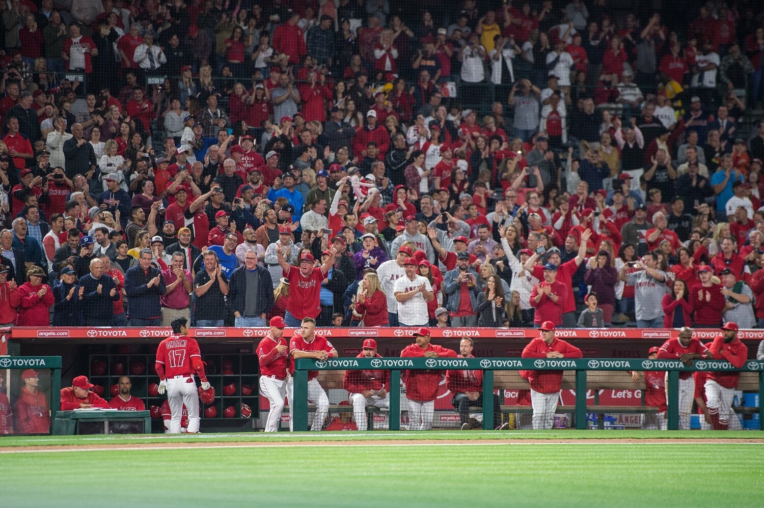 【テレビに映らない大谷名場面】2018年、懐かしのサイレントトリートメント（写真はまだまだ続きます） ©Nanae Suzuki©Nanae Suzuki