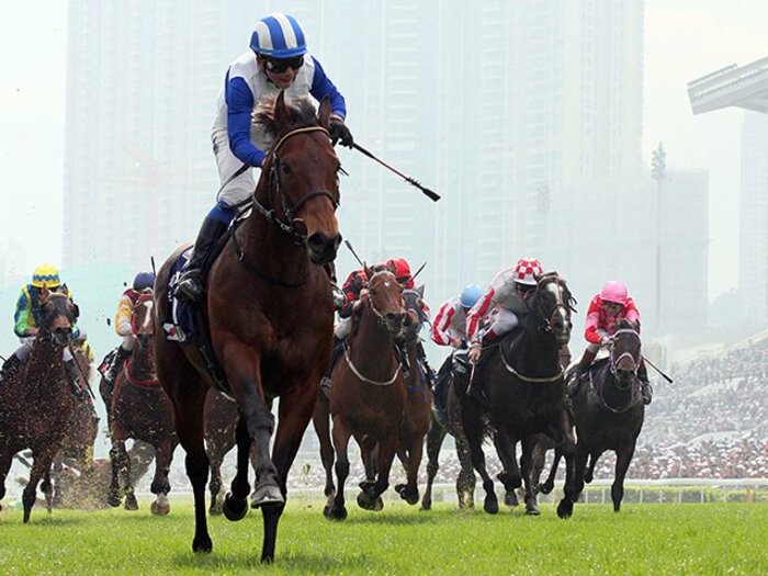 海外遠征熱を冷ます、JRAの大きな方針転換。～国内競走重視に潜む問題点～＜Number Web＞ photograph by KYODO