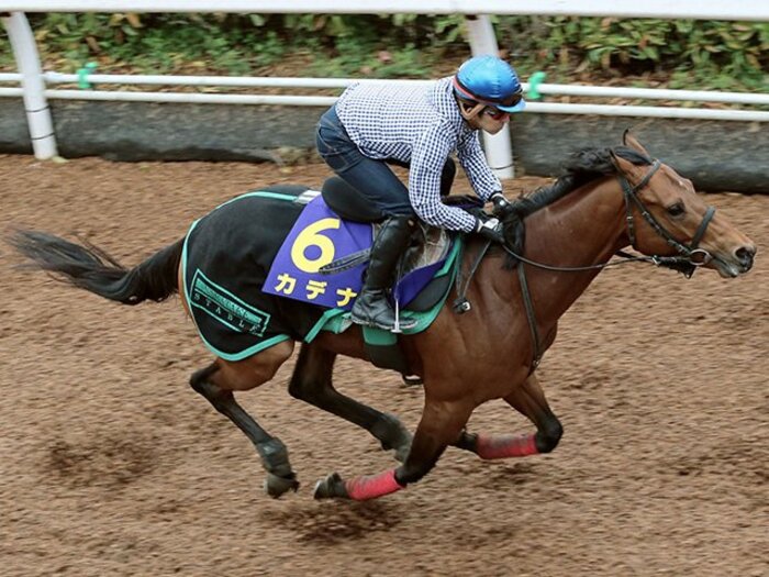 大混戦ダービーは騎手の腕次第!カデナで福永祐一の男泣きが見たい。<Number Web> photograph by Kyodo News