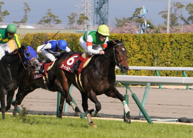 ⑧◆競馬　JRA◆　シーザリオ　サートゥルナーリア　◆　親子ストラップ　◆ 結局、“左回り”は苦手だった？ サートゥルナーリア引退で母シーザリオ