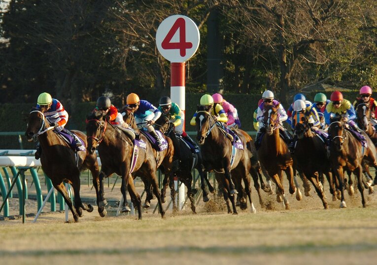 4コーナーを通る各馬。真ん中の黄色帽がハーツクライ、右から2番目の赤帽がディープインパクト。追込脚質のディープからすれば「射程圏内」に思える1馬身半ほどの差に縮まっていた　©Sankei Shimbun